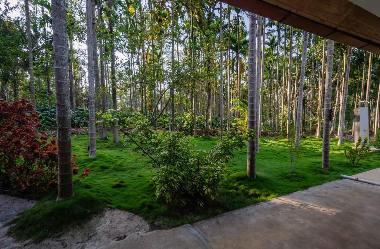 Stayvista At Tall Silver With Infinity Pool & Breakast Madikeri Dış mekan fotoğraf